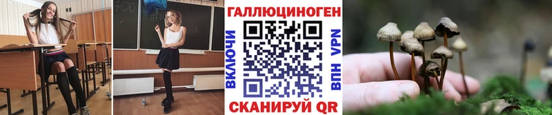 Галлюциногенные грибы Magic Shrooms  Высоковск 