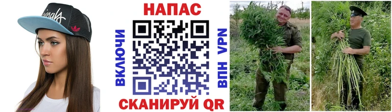 МАРИХУАНА AK-47  МЕГА маркетплейс  сайты даркнета формула  Высоковск 